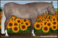Horse Color:Chocolate Silver Brown Dun 