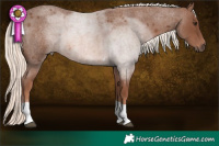 Horse Color:Red Roan Mushroom Tobiano