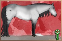 Horse Color:Bay Chinchilla 