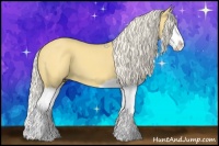 Horse Color:Palomino Splash