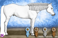Horse Color:Gray White Spotted Smoky Black