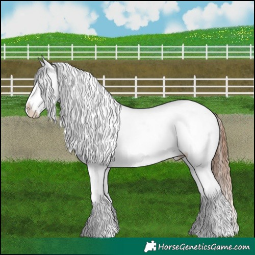 Horse Color:Chestnut Near Leopard