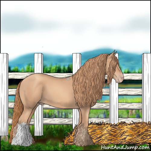 Horse Color:Gold Champagne 