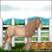 Horse Color:Gold Champagne 