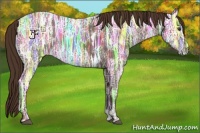 Horse Color:Liver Chestnut Ice 