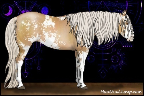 Horse Color:Silver Black Pearl Sabino