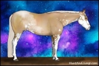 Horse Color:Silver Black Pearl Sabino 