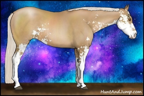 Horse Color:Silver Black Pearl Sabino 