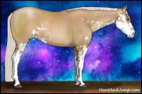 Horse Color:Silver Black Pearl Sabino 