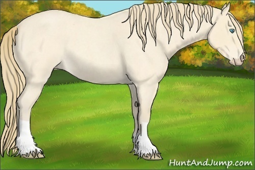 Horse Color:Perlino Roan 