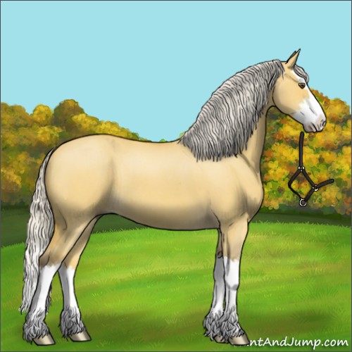 Horse Color:Silver Buckskin Roan Dun Splash 