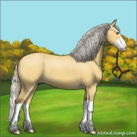 Horse Color:Silver Buckskin Roan Dun Splash 