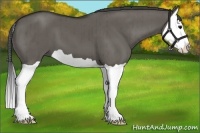 Horse Color:Grullo Splash Brindle 