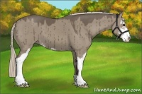 Horse Color:Silver Grullo Sabino 