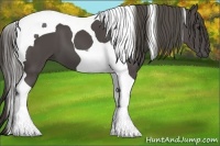 Horse Color:Smoky Black Tobiano 