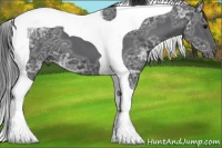 Horse Color:Black Ice Tobiano