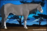 Horse Color:Grullo Sabino