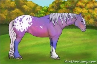 Horse Color:Watercolor Silver Brown Roan Appaloosa 