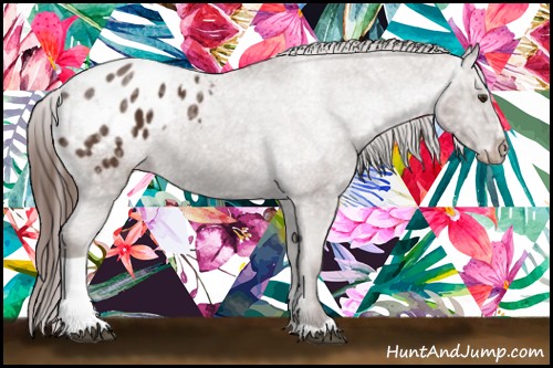 Horse Color:Liver Chestnut Ice Sabino Tobiano Appaloosa 