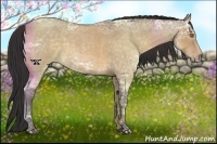Horse Color:Buckskin Ice Roan Dun Rabicano