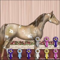 Horse Color:White Spotted Liver Chestnut Pearl Appaloosa