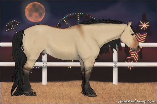 Horse Color:Gray Bay Dun Sabino