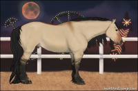 Horse Color:Gray Bay Dun Sabino