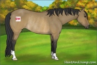 Horse Color:Brown Dun Rabicano