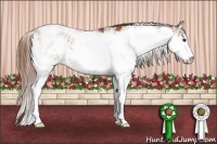 Horse Color:Chestnut Sabino Rabicano