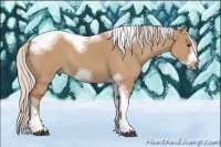 Horse Color:Silver Bay Dun Sabino Tobiano Frame Rabicano 