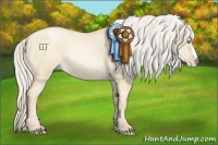 Horse Color:Palomino Pearl Dun 