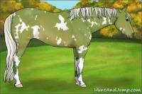 Horse Color:Watercolor White Spotted Silver Brown