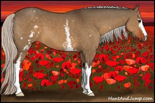 Horse Color:White Spotted Silver Brown Dun