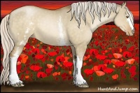 Horse Color:White Spotted Silver Brown Pearl Dun 