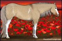 Horse Color:White Spotted Silver Brown Dun 