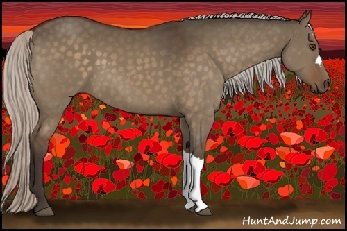 Horse Color:Silver Brown Dun 