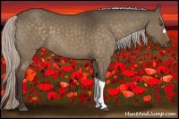 Horse Color:Silver Brown Dun