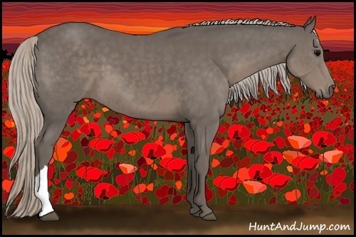 Horse Color:Silver Black 