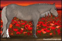 Horse Color:Silver Black 