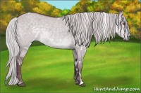 Horse Color:White Spotted Chocolate Silver Grullo Chinchilla