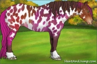 Horse Color:Chocolate Brown Near Leopard Rabicano 