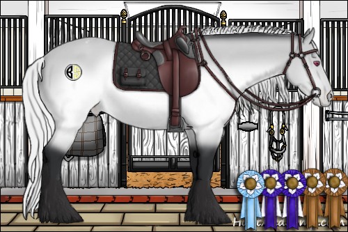 Horse Color:Silver Brown Chinchilla Varnish