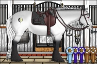 Horse Color:Silver Brown Chinchilla Varnish