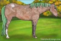 Horse Color:Painted Silver Bay Ice Appaloosa 