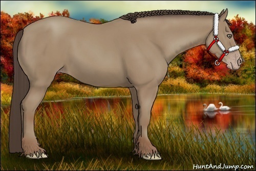 Horse Color:Classic Champagne 
