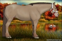 Horse Color:Classic Champagne 