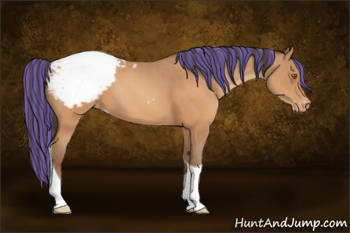 Horse Color:Painted Sable Champagne Tobiano Appaloosa Rabicano 