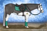 Horse Color:Black Splash