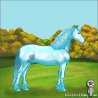 Horse Color:Thunderstruck Black Splash Tobiano 