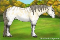 Horse Color:Buckskin Chinchilla Onyx Blanket Brindle